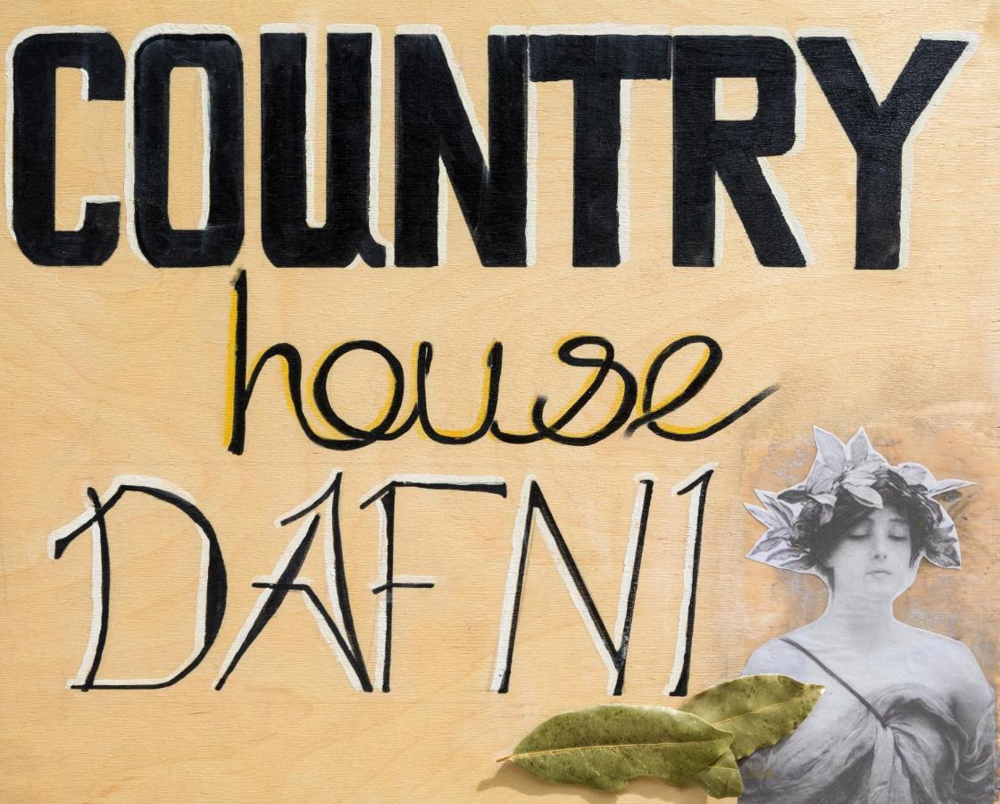 Country House Dafni Василикос Экстерьер фото